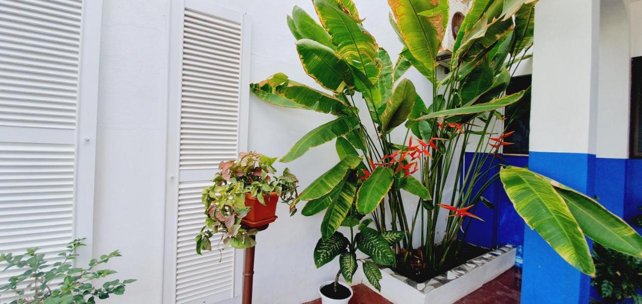 Kelly Guest House Praia Exterior photo